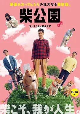 视频在线观看一区二区