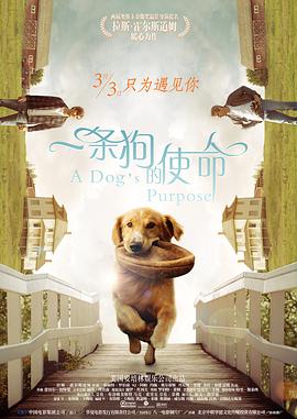 少妇放荡的呻吟干柴烈火视频