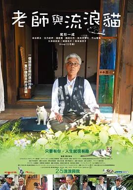 成年午夜视频