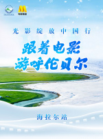 久久久久网站