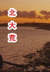 亚洲网站视频