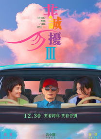 精品国产高清a毛片无毒不卡