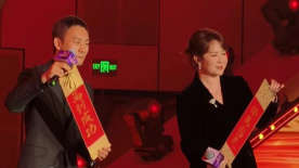 张柏芝国产一区在线观看
