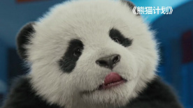 美女不穿内衣的网站